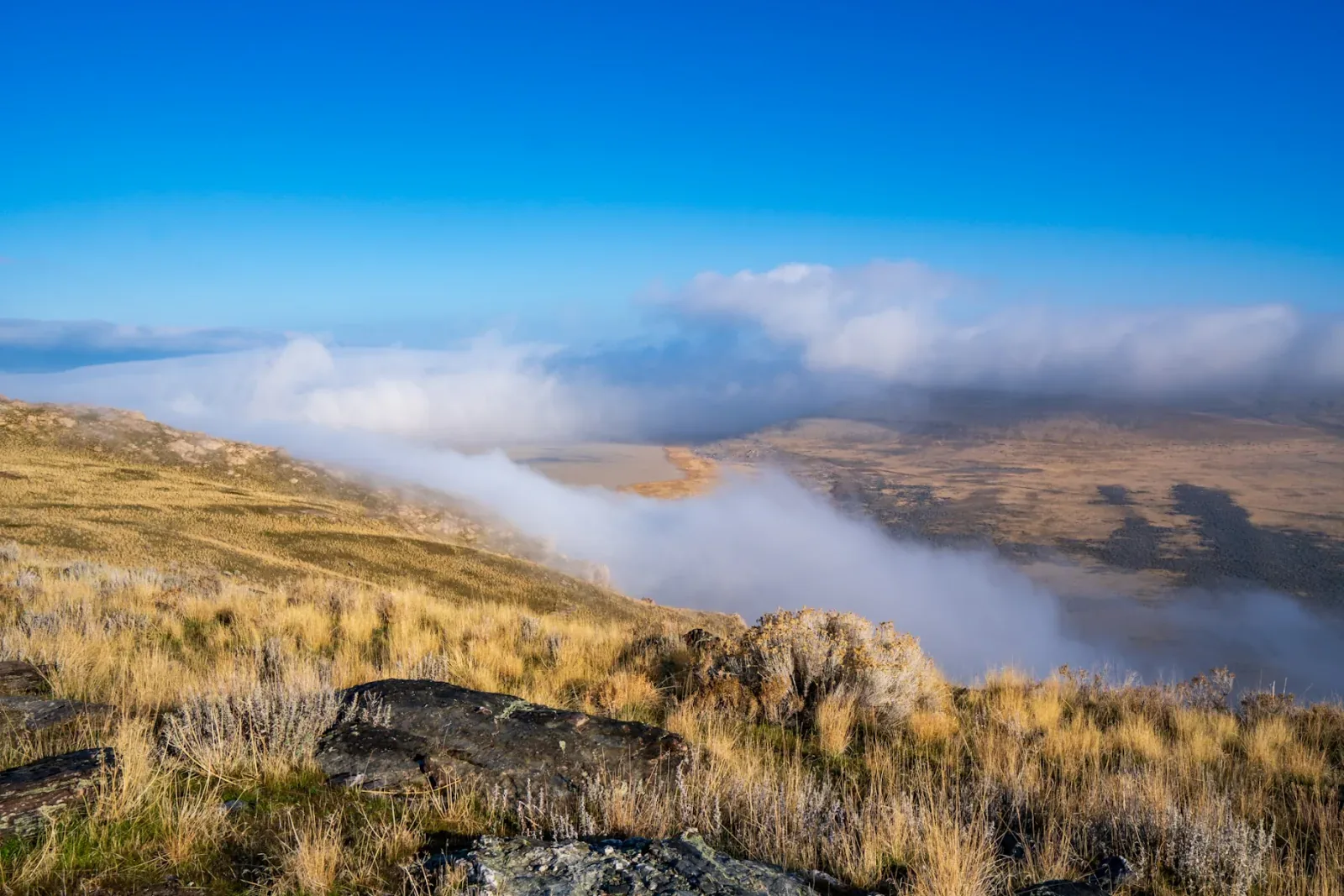 Morning fog