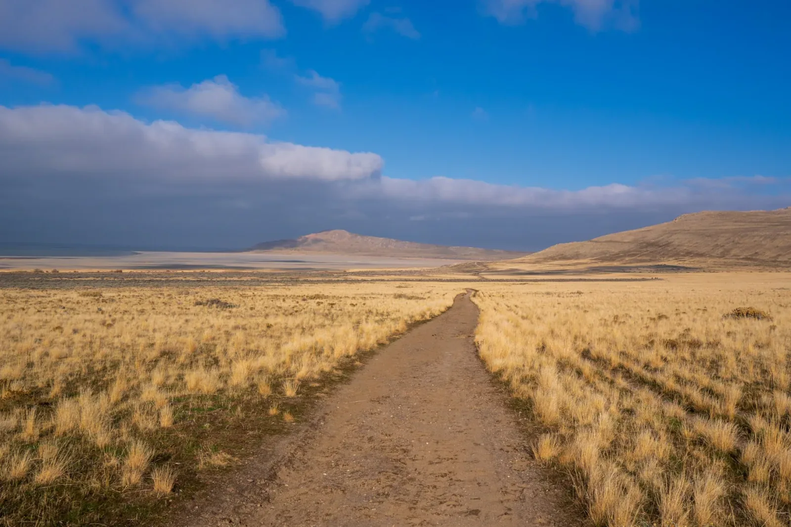 The trail home